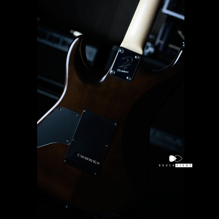 Brush eight / 【SOLD】T's Guitars DST Spider 