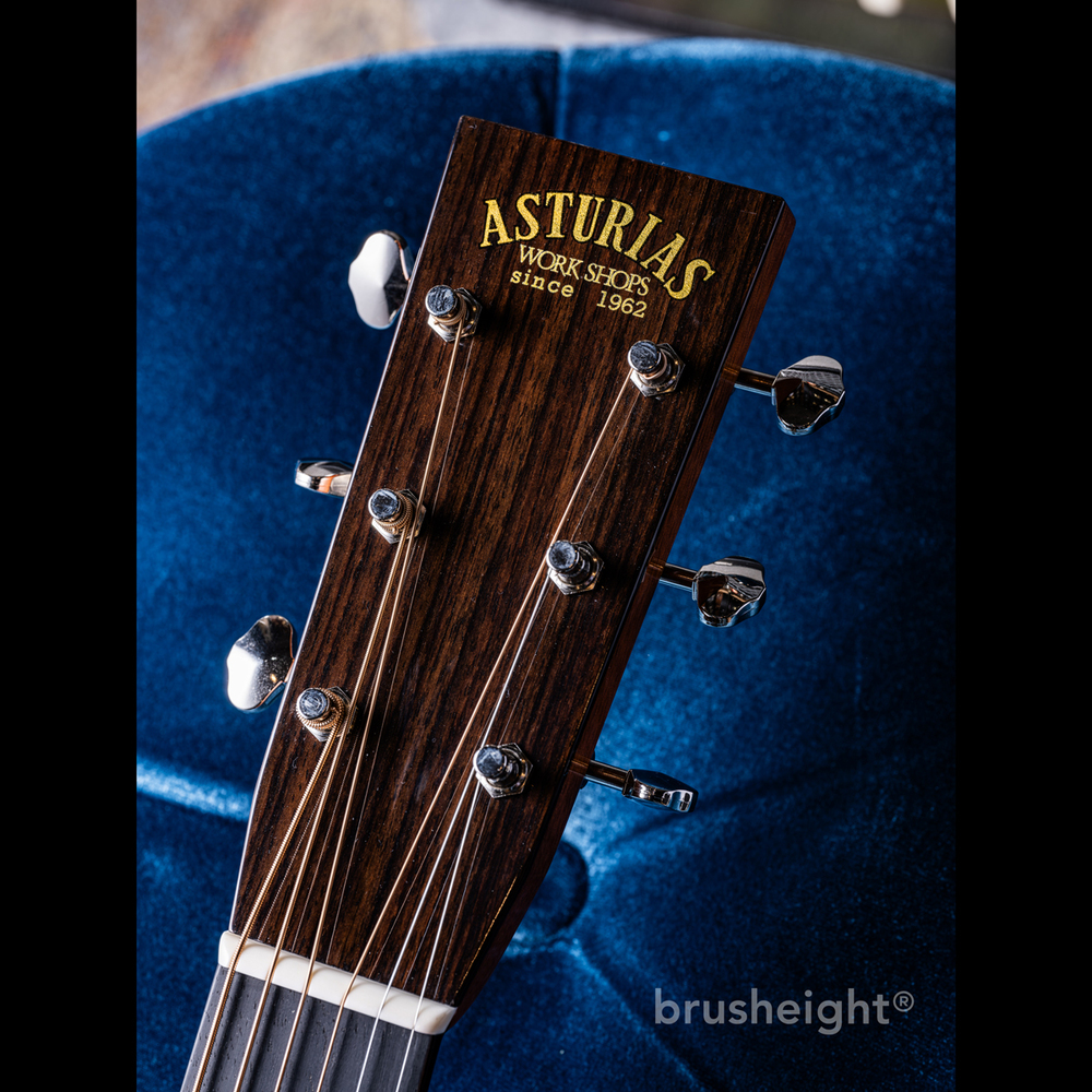 【SOLD】ASTURIAS “TRAD OM” Reverence Super Selected with FISHMAN Ellipse Matrix Blend