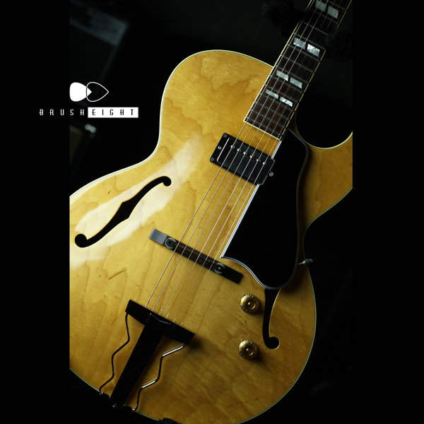 Brush eight / 【SOLD】Archtop Tribute AT102