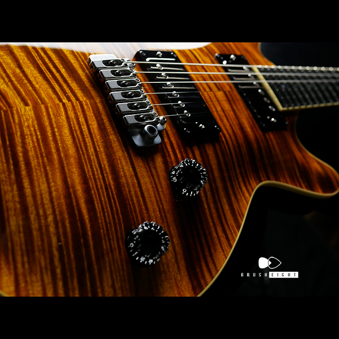 【SOLD】T's Guitars Arc-STD   VS100N “Yellow Tiger”